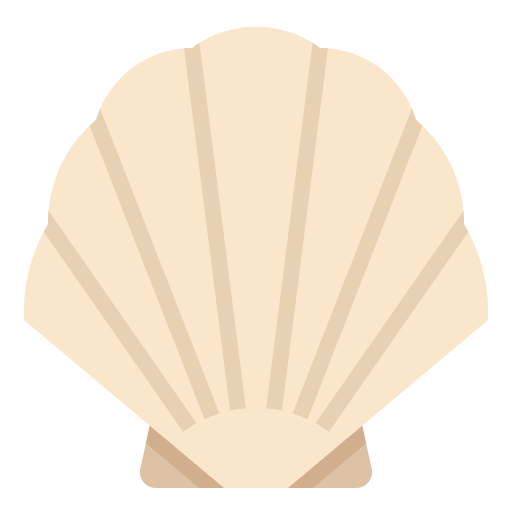 seashell