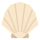 seashell